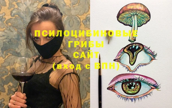 герыч Бронницы