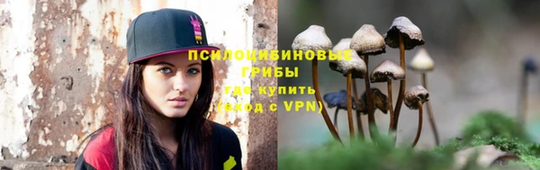 ГАЛЛЮЦИНОГЕННЫЕ ГРИБЫ Богородск