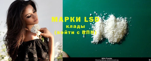 бошки Бородино