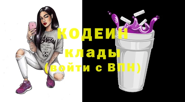 амф Снежногорск