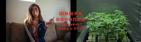 бошки Бородино
