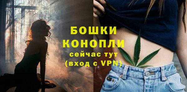 бошки Бородино