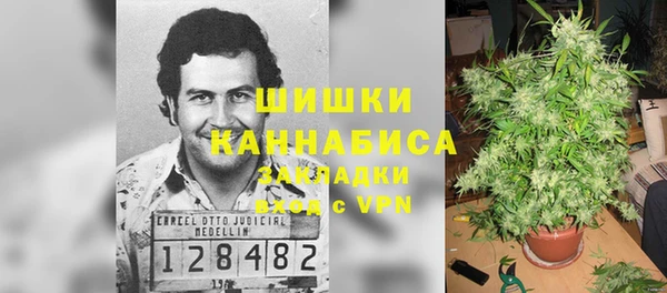 амф Слюдянка