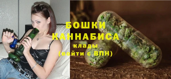 амф Слюдянка