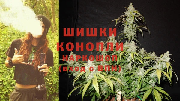 прущие грибы Семикаракорск
