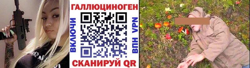 гидра сайт  Миньяр  Псилоцибиновые грибы Psilocybe 